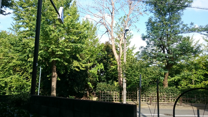 グリーンハイムみやざき その他外観1