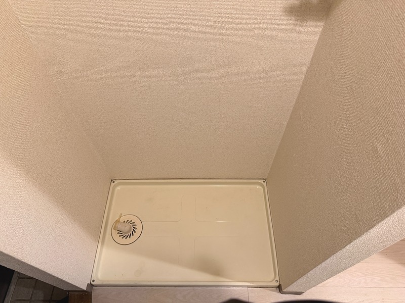カミーリア その他