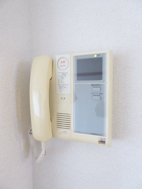 ペルシャモン上水 その他4