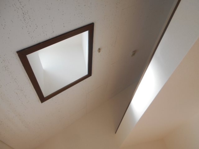 ジュネス・サトー その他4