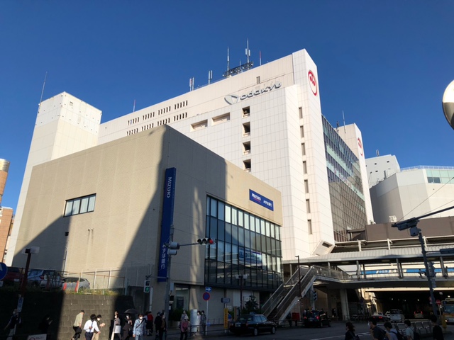 Casa Demantoid（カーサ・デマントイド） 周辺画像5