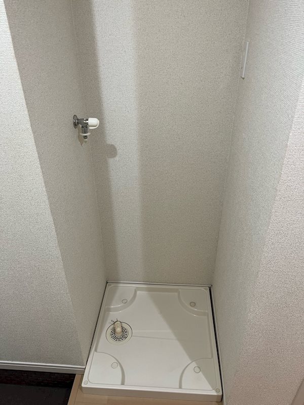 フォセット その他5