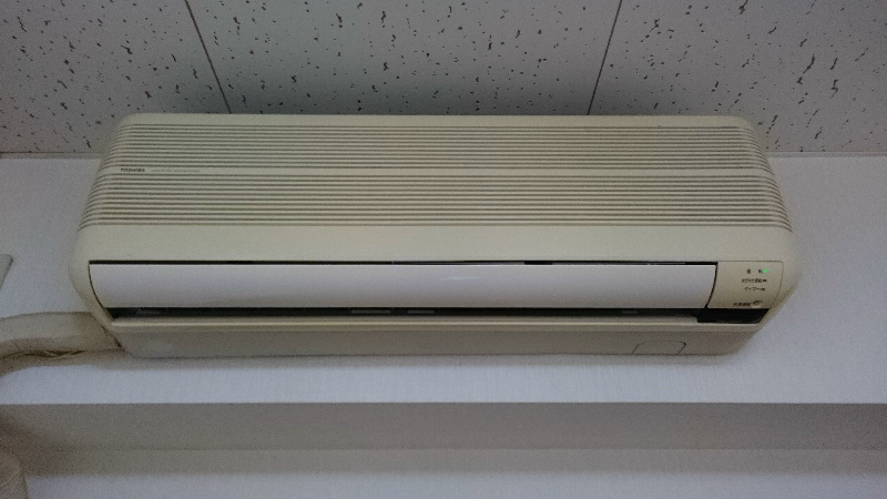 カミーリア その他1