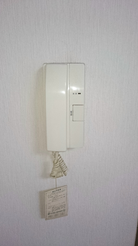 カミーリア その他3