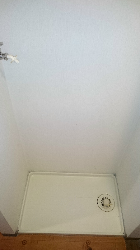 カミーリア その他6