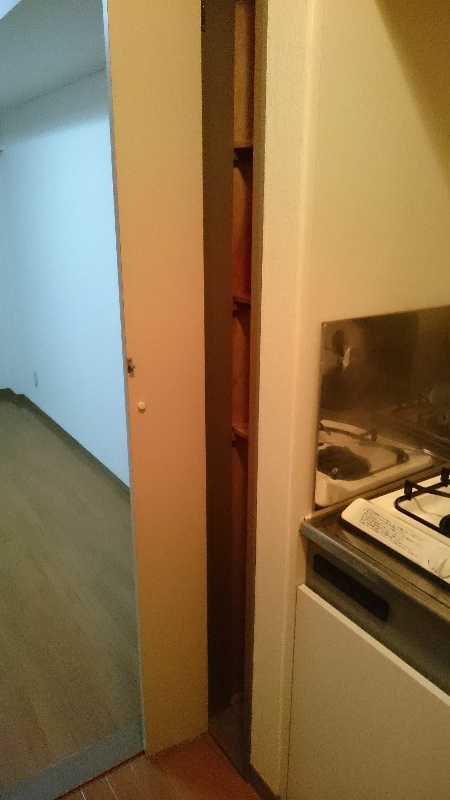 カミーリア その他10