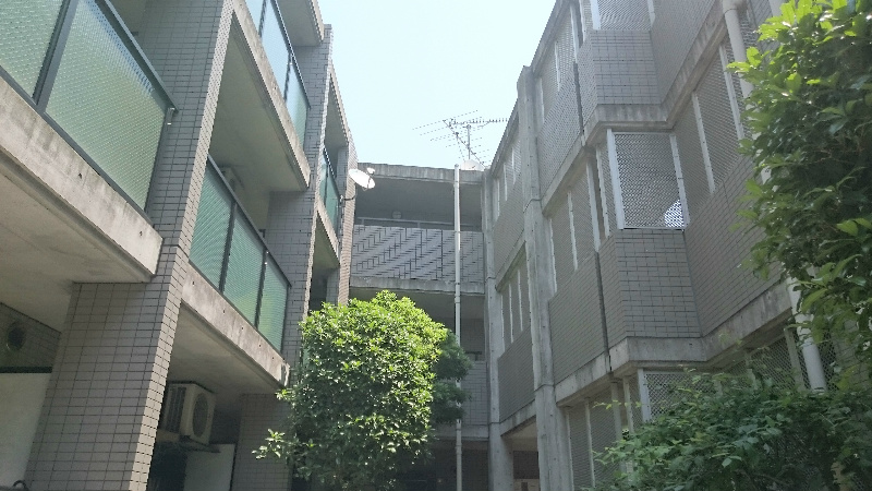 パインフィールド その他外観3