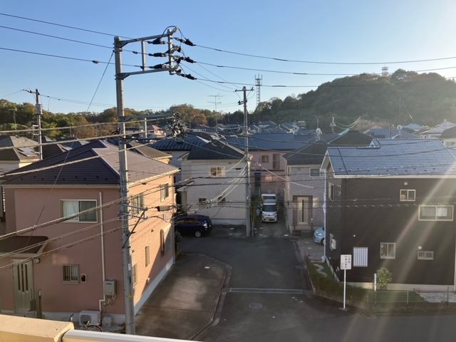 グリーンハイムコダイ その他3