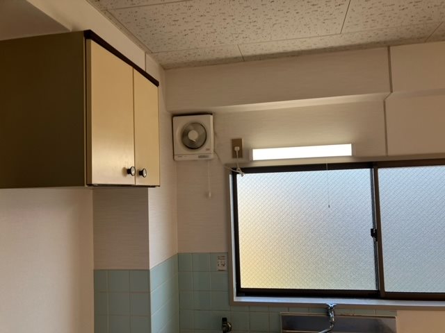 グリーンハイムコダイ その他4