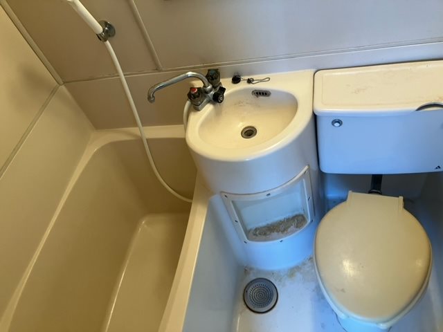 グリーンハイムコダイ その他6