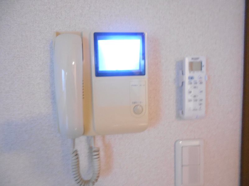 ステラ その他1