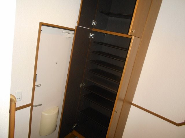 ステラ その他5