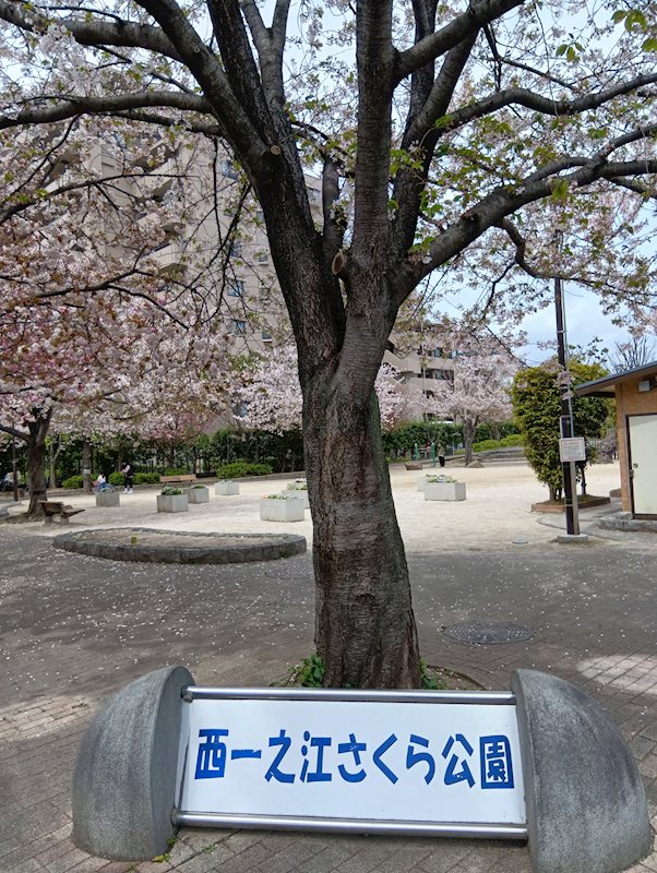 セピアコート その他28