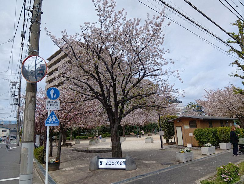 セピアコート その他29