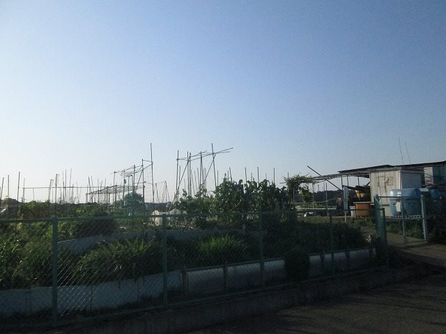 ジュネス十日市場Ａ棟 その他10