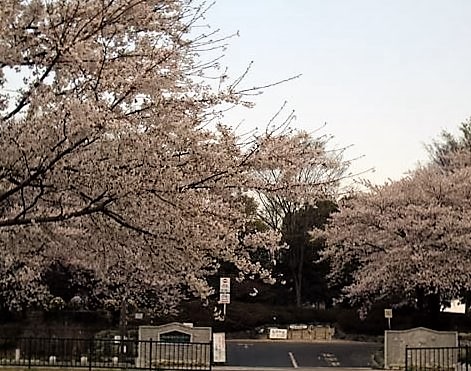 エーデルワイス 周辺画像9