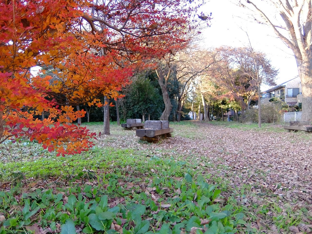 グリナージュ 周辺画像8