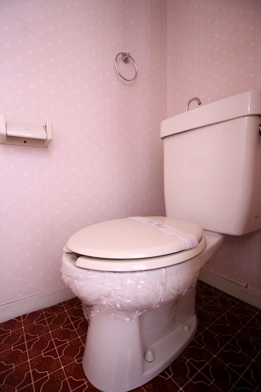 レピュートホソノⅡ その他1