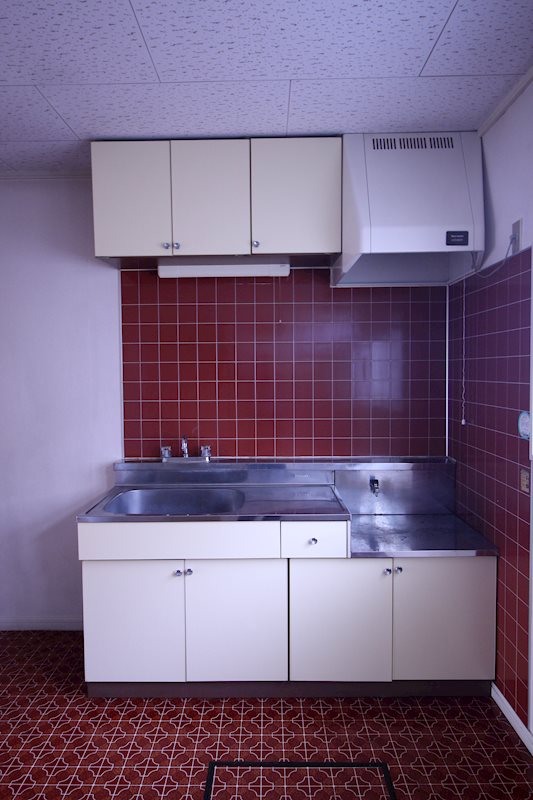 レピュートホソノⅡ キッチン