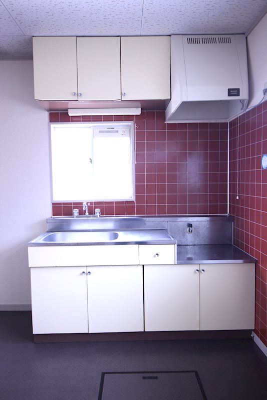 レピュートホソノⅡ キッチン