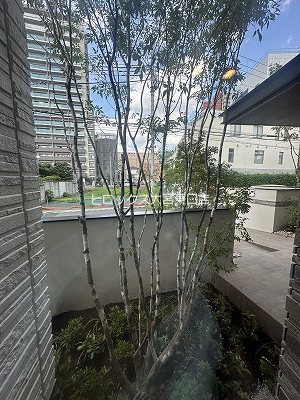 リラフォート　槙 その他1