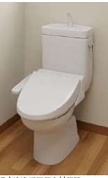 ヒナ　ティアレ その他1