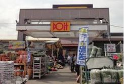 ジーメゾン見沼大和田カトレア 周辺画像4