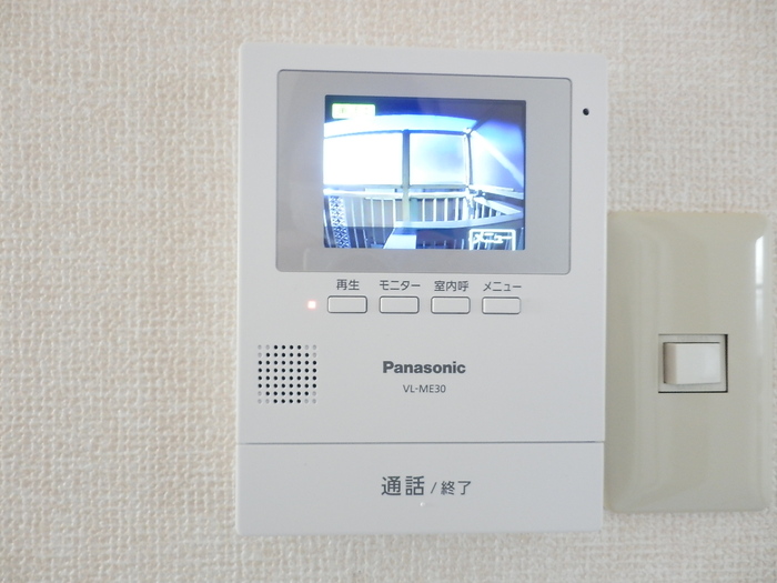 パフィオニッシン その他5