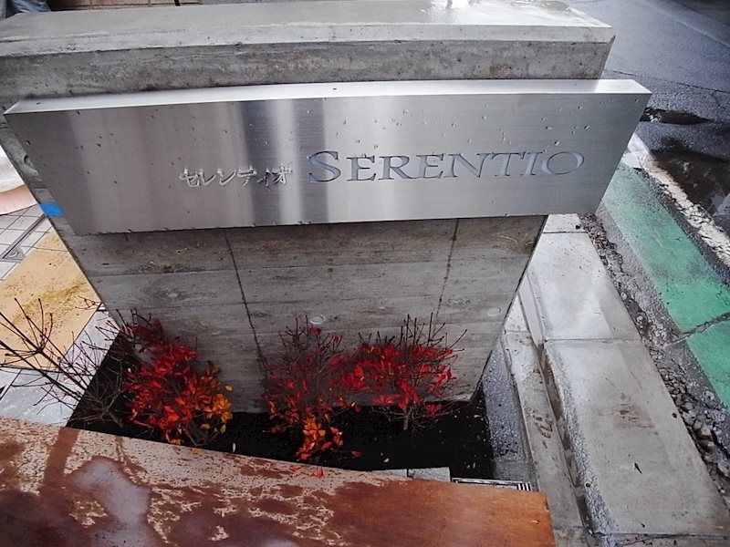 SERENTIO その他3