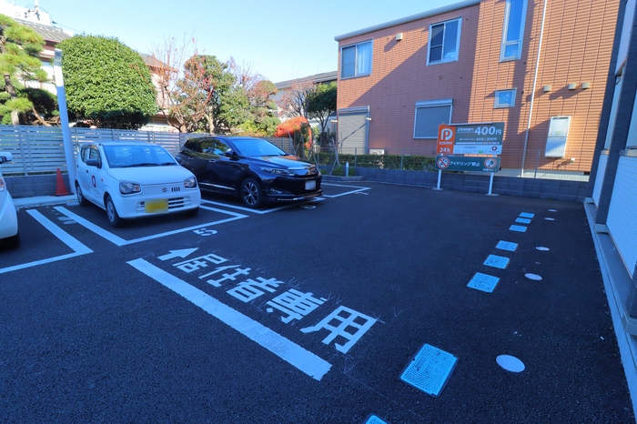 コリーヌヴェール盆栽 その他外観2