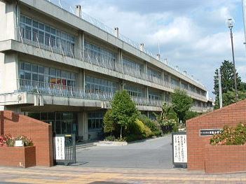 横溝ビル 周辺画像5