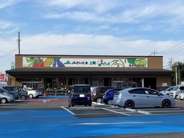 プリムローズ その他4