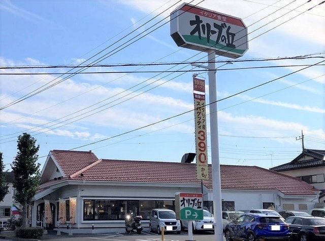 プリムローズ その他7