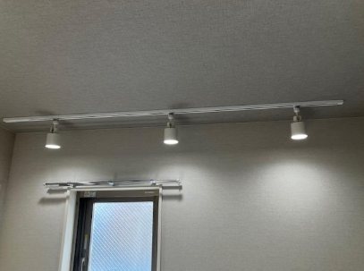 プルメリア与野 その他4