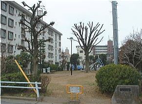 ジュンパレス大成 周辺画像6