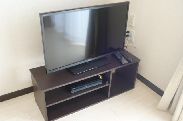 レオネクストルナ大宮 その他6