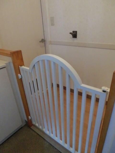 コンフォート宮原 その他6