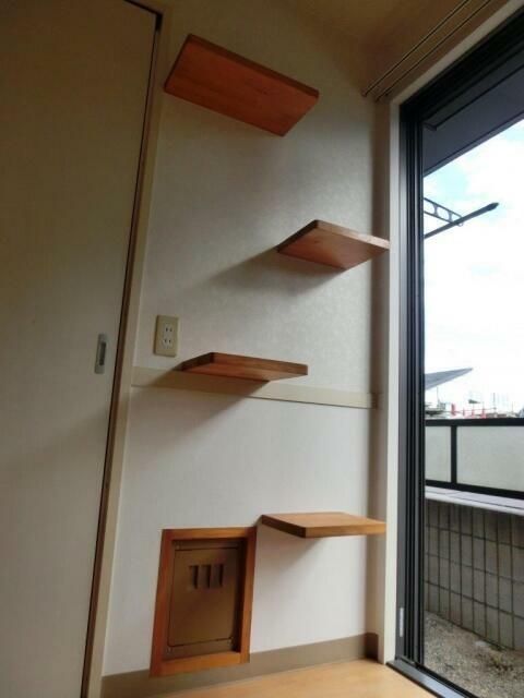 コンフォート宮原 その他13