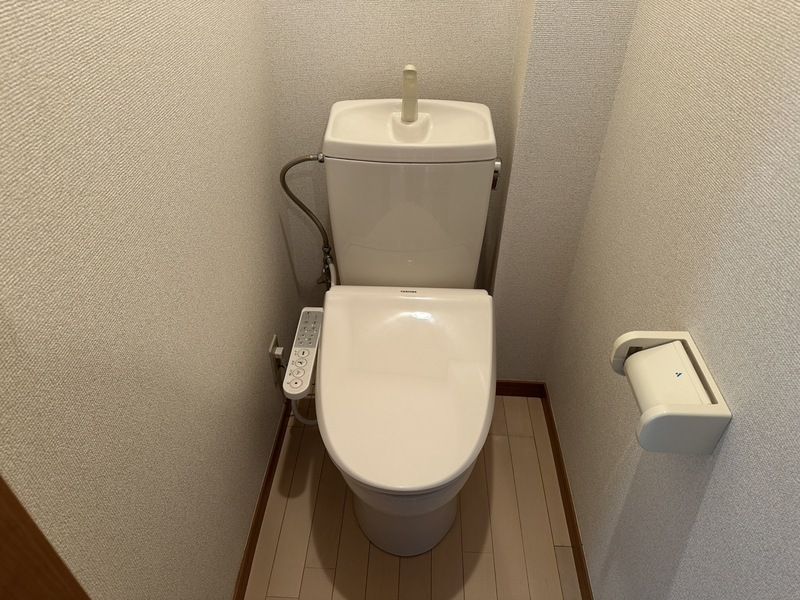 コモド その他1