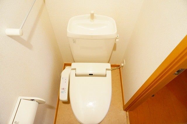 フェアリー　アイリス その他2