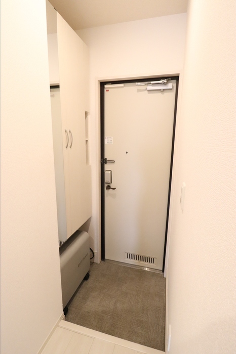 ルミナステラス 玄関