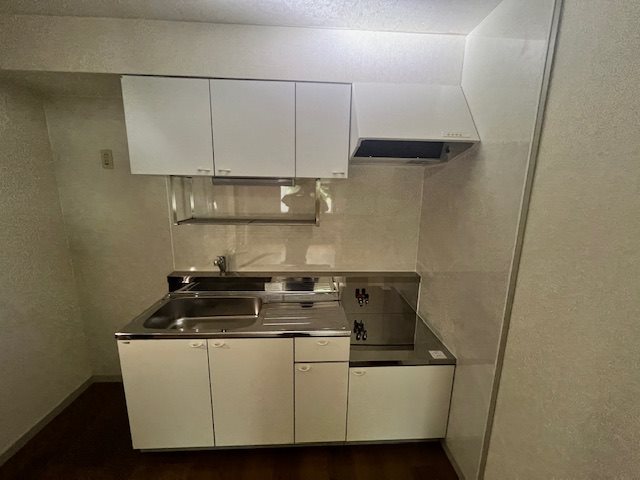 プルミエール・パレ キッチン