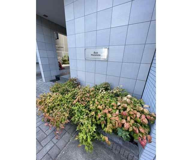 Ａｃｏ　Ｍａｎｓｉｏｎｓ その他外観4