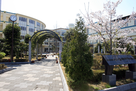 アーバンみらい東大宮東二番街団地 第9-4号棟 周辺画像5