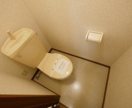 パレスフェオ その他1