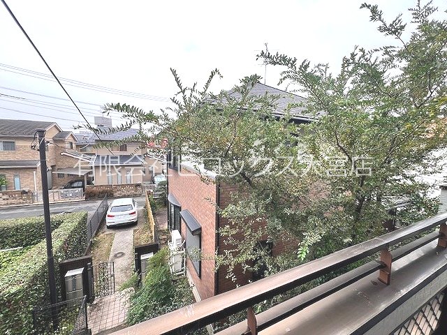 Pleasure  その他4