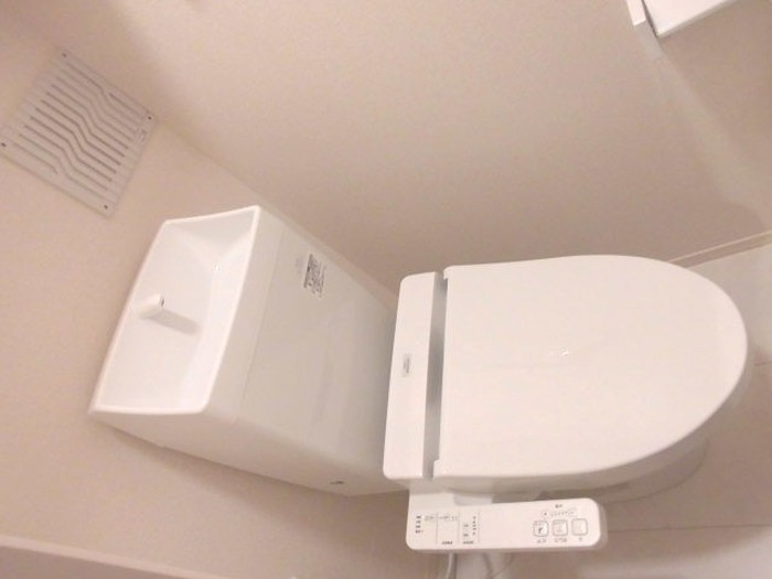 アベリア その他1