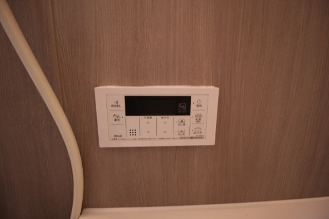 ルリエ その他8