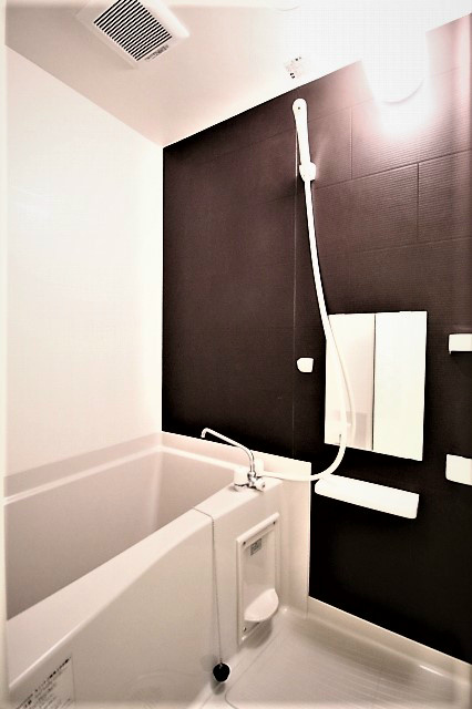 デルソーレ大和田 風呂画像