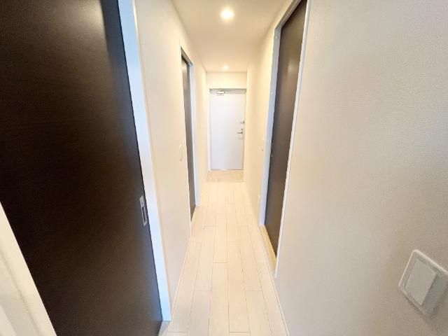 Luminous coat 玄関